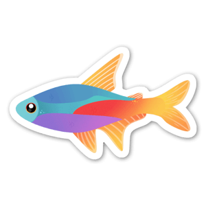 farverig neon tetra