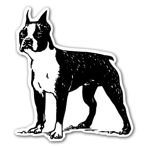 Boston terrier stickers etiketter klistermærker