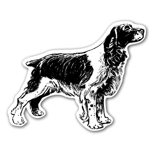 Spaniel Hund stickers etiketter klistermærker 